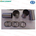 Yangdong Engine Spare Part Crankshaft 08010250 Yd380d Yd385D Yd480d Yd4kd Ynd485D Ysd490d Y495D